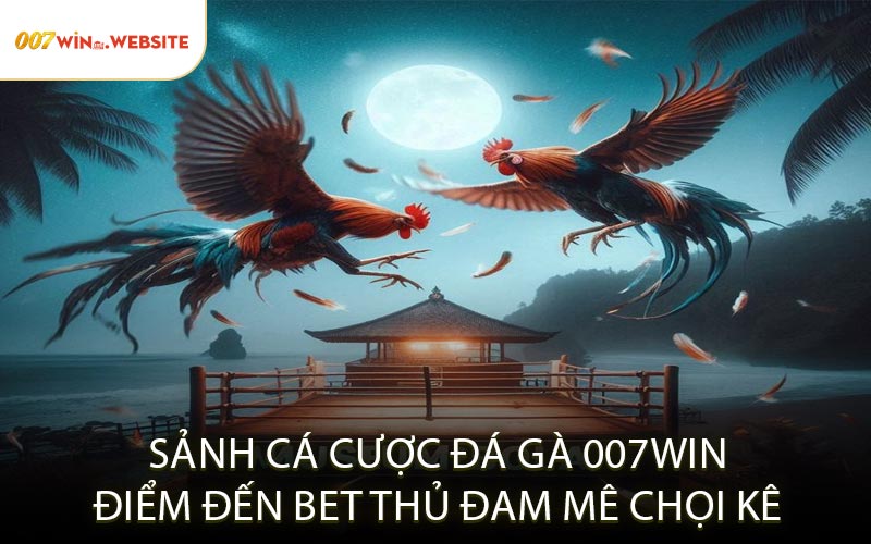 Sảnh Cá Cược Đá Gà 007WIN Điểm Đến Bet Thủ Đam Mê Chọi Kê