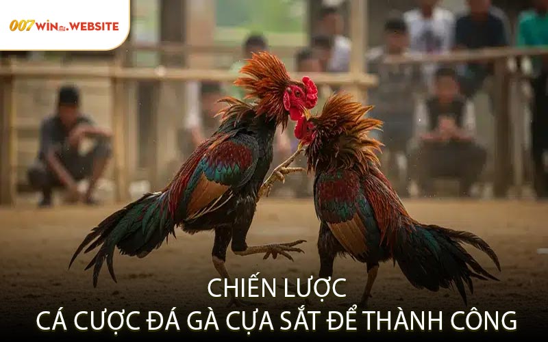 Chiến Lược Cá Cược Đá Gà Cựa Sắt Để Thành Công
