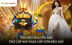 Tìm Hiểu Khuyến Mãi Trợ Cấp Khi Thua Cấp Vốn Kèo Gãy